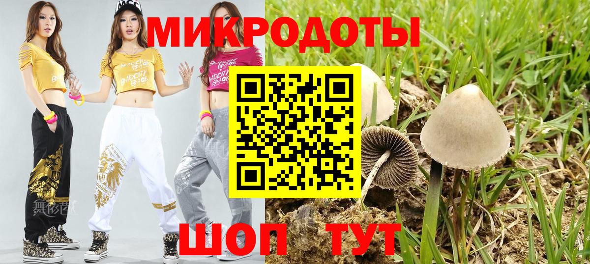 Псилоцибиновые грибы Cubensis  где купить наркоту  Киров  Вход с VPN  Галлюциногенные грибы мицелий 