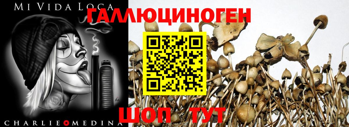 Псилоцибиновые грибы ЛСД Киров